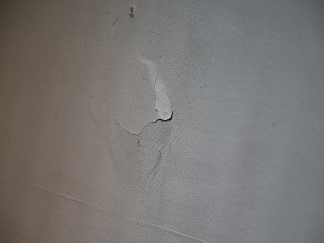 Understanding Water Extraction vs. Dehumidification: A Complete Guide to Effective Water Damage Restoration